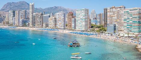 بالقرب من الشاطئ