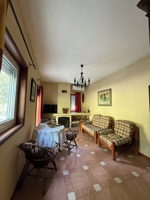 TV, fireplace, foosball, table tennis - Quinta de Vilar Country House with pool near Porto (Paredes - Porto)