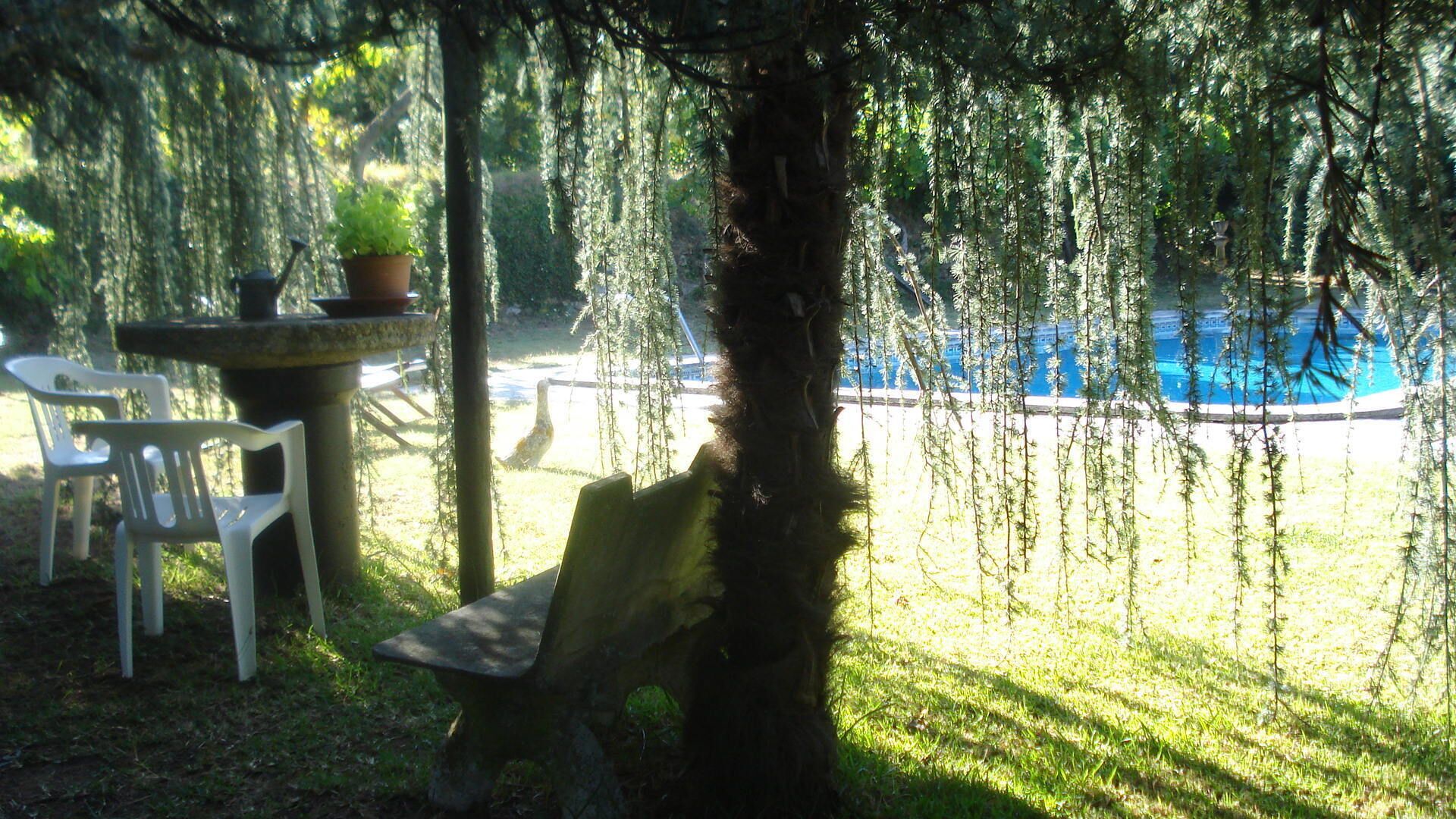 Un'area patio con una panchina, un tavolo e sedie. Sullo sfondo, si vede una piscina.