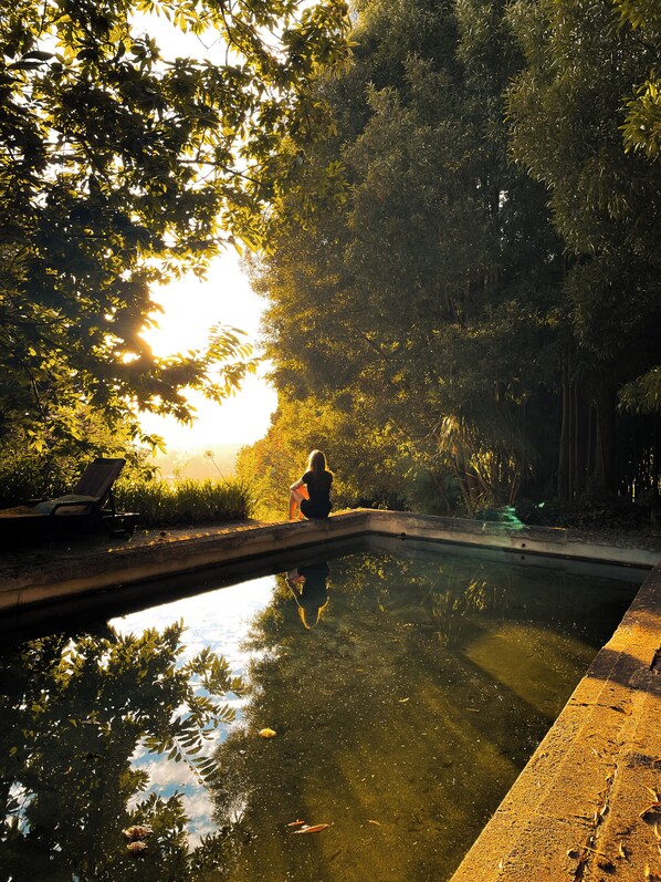 Outdoor pool - Quinta de Vilar Country House with pool near Porto (Paredes - Porto)