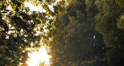 Quinta de Vilar Country House with pool near Porto