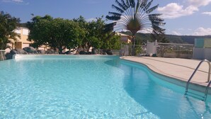 A clear swimming pool with a metal ladder, surrounded by palm trees and a fence.