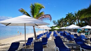 A beachside lounge area with rows of blue lounge chairs and white umbrellas, a sandy beach, and palm trees in the background.