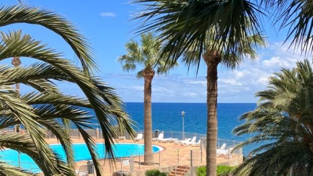 A pool area with palm trees and a view of the ocean.