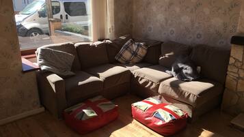 TV, fireplace, video games, DVD player