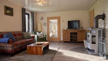 TV connectée, cheminée, lecteur de DVD, livres