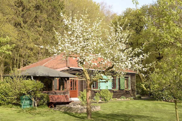 Ferienhaus im Grünen