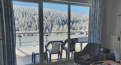 Precioso apartamento en el corazón del bosque de Turingia