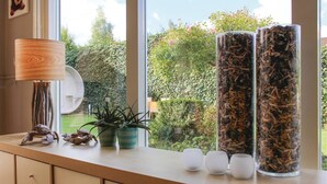 A kitchen counter with a lamp, potted plants, and two glass containers with wood shavings.