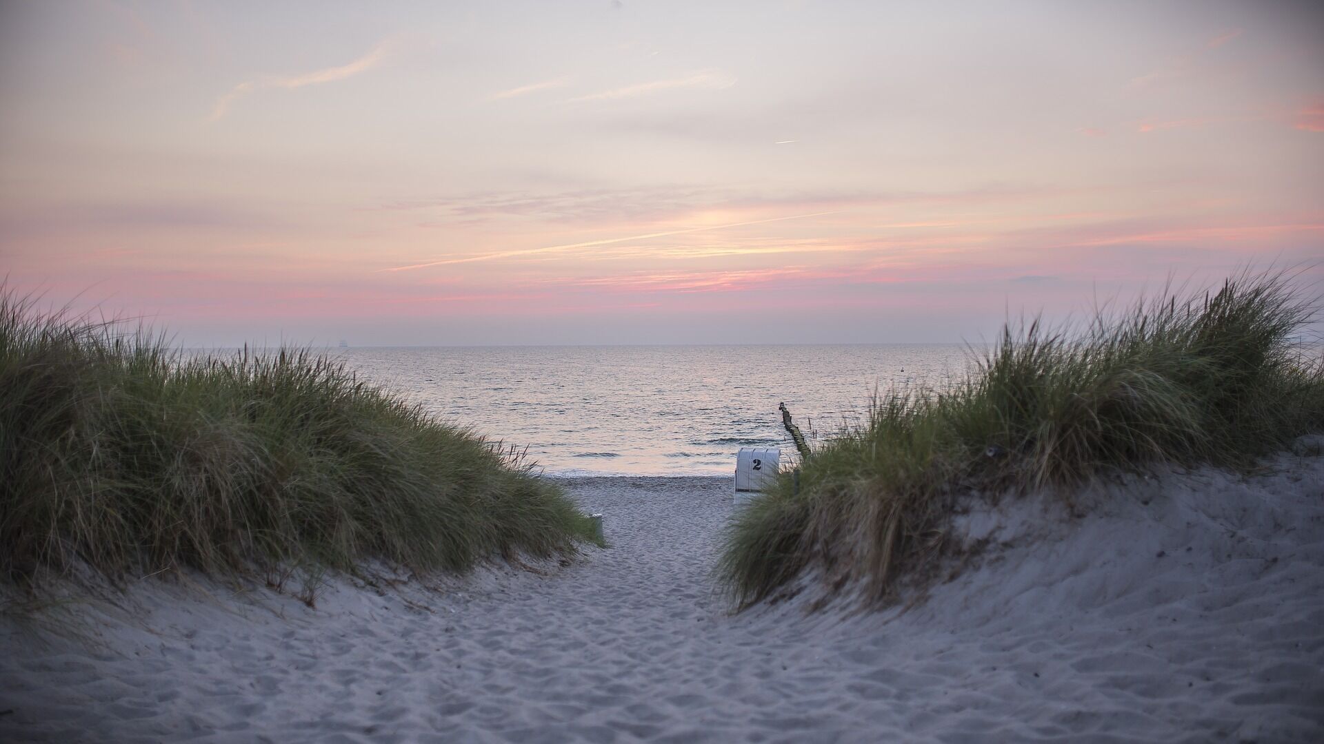 A beach path leading to the sea with sand and grass on either side.