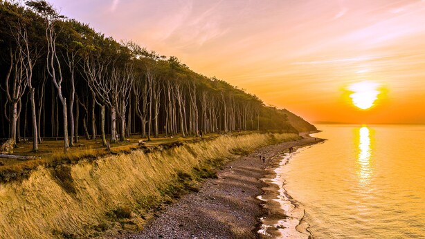 A coastal landscape with a beach, trees, and a sunset. - Charming suite with pool-sauna area, spa-wellness area, restaurant. (Börgerende-Rethwisch)