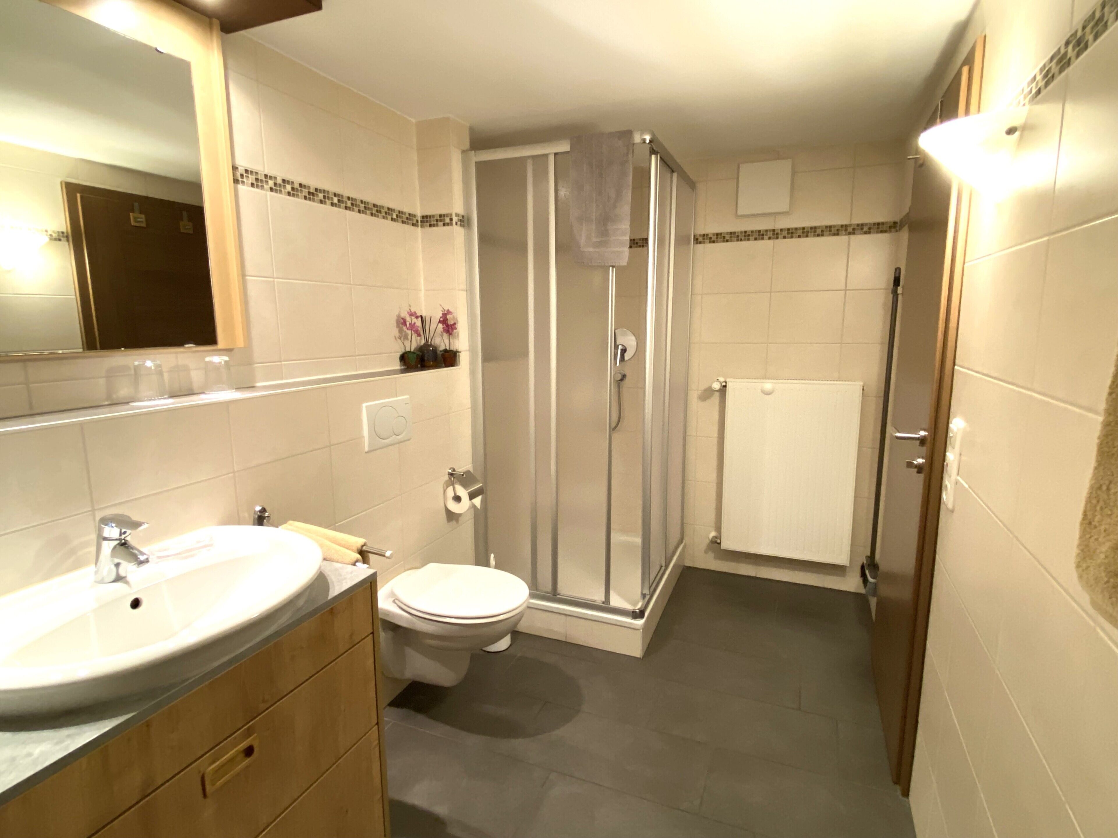 Dusche, Haartrockner, Handtücher, Toilettenpapier