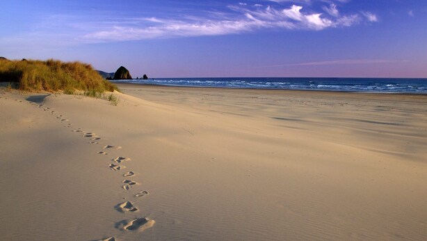 A sandy beach with footprints leading to the water, a clear sky, and distant rock formations. - Large, Comfortable, Air-Conditioned Historic House with a Sauna. (Ver-sur-Mer)