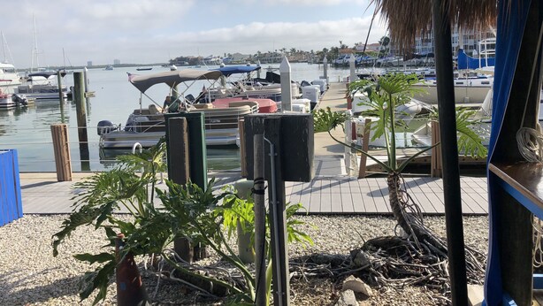 Un puerto deportivo con barcos amarrados, una estructura con techo de paja y vista al agua.
