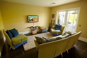 Smart TV, fireplace, video games, DVD player