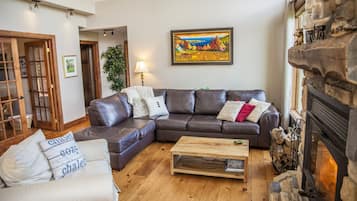 TV, fireplace, books, stereo