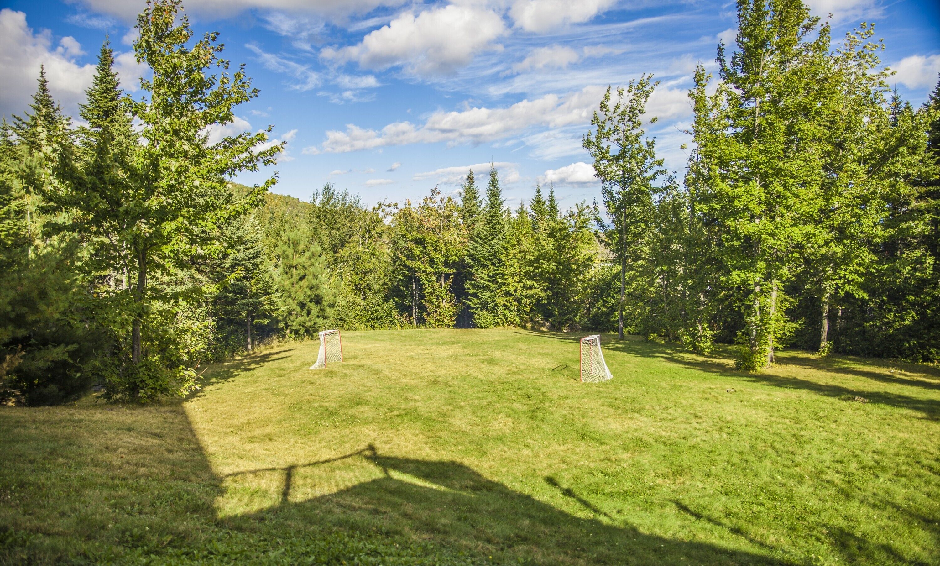 Un terrain herbeux avec deux buts de football et, au fond, une forêt dense.