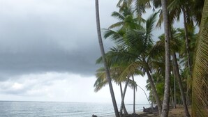 Een strand met palmbomen en rotsen.