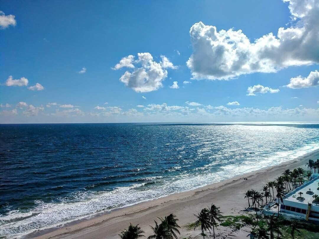 Ein Strand mit blauem Himmel und Meereswellen.