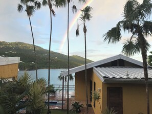 Property grounds - Villa Tryst, Waterfront Hull Bay Beach (Northside)