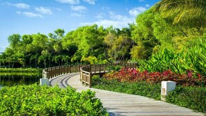 المنطقة المحيطة بالمنشأة