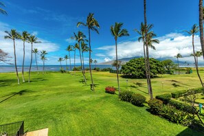 A well-maintained lawn with palm trees and a view of the ocean.