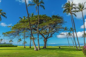A lush green landscape with tall palm trees and a clear blue sky.