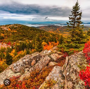 Miscellaneous - Gorgeous oceanfront Home overlooking Penobscot Bay , Castine Maine (Castine)