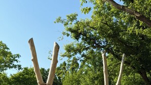 A playground with wooden climbing structures and a swing set, surrounded by trees and a gravel path. - Lake House Is Close To Minneapolis, But Far From Your Normal Routine.   (Zimmerman)