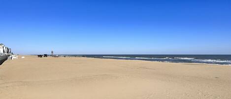 Playa en los alrededores