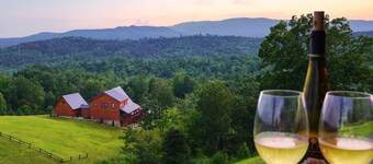 Spacious 5BR Mountain Escape Mt. Airy | With Views
