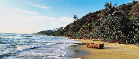 På stranden og strandhåndklær