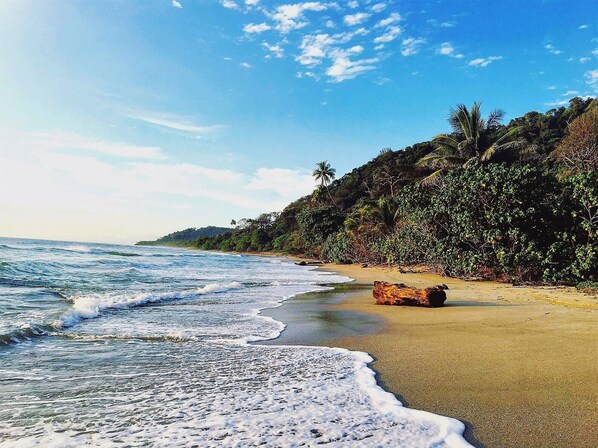 On the beach, beach towels