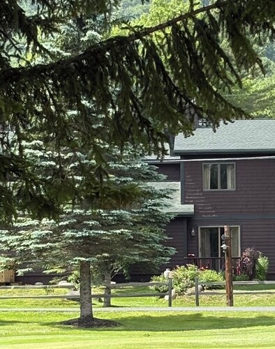 Cozy Town Home Overlooking Amazing Whiteface Golf Club - rental permit #200220