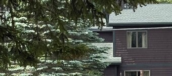 Cozy Town Home Overlooking Amazing Whiteface Golf Club - rental permit #200220