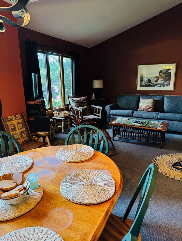 TV, fireplace, DVD player, books