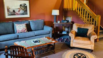 Télévision, cheminée, lecteur de DVD, livres