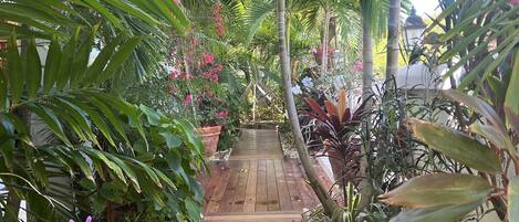A wooden pathway flanked by lush tropical plants and flowers, leading to a covered area.