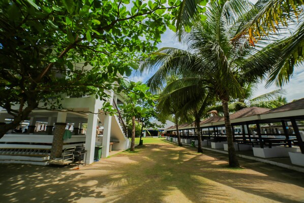 A pathway lined with palm trees and a building with a covered area.