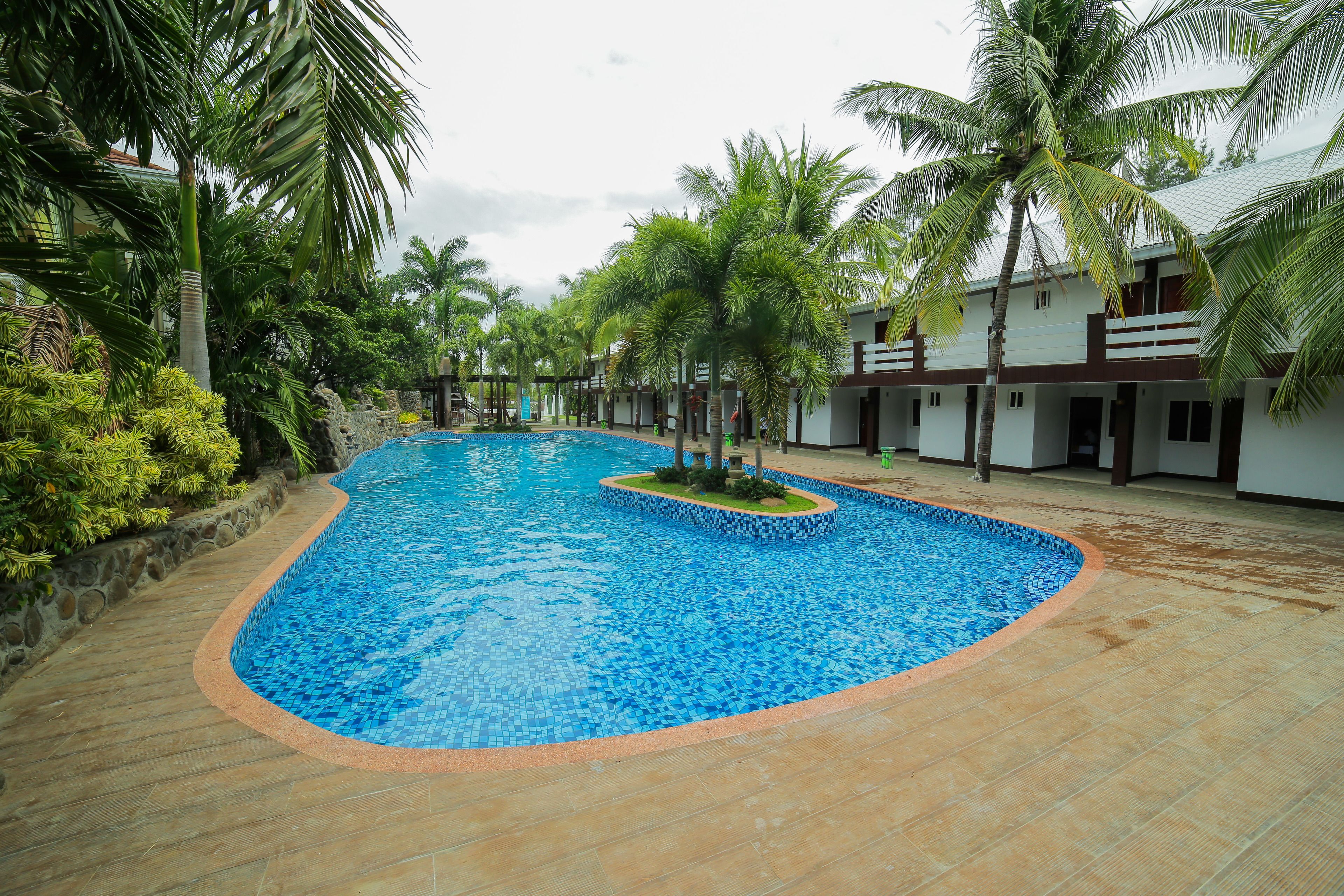 Una piscina con borde de azulejos, rodeada de palmeras y un muro de piedra.