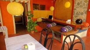 Una habitación acogedora con una mesa de madera, sillas, una computadora portátil y una planta en maceta.