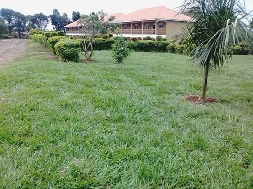 Royal Paradise Hotel