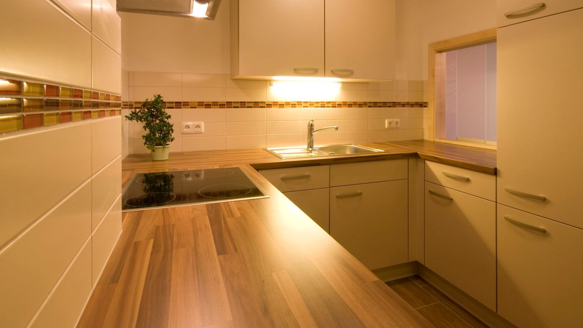 Une cuisine avec un plan de travail en bois, un évier en acier inoxydable et une plante en pot.