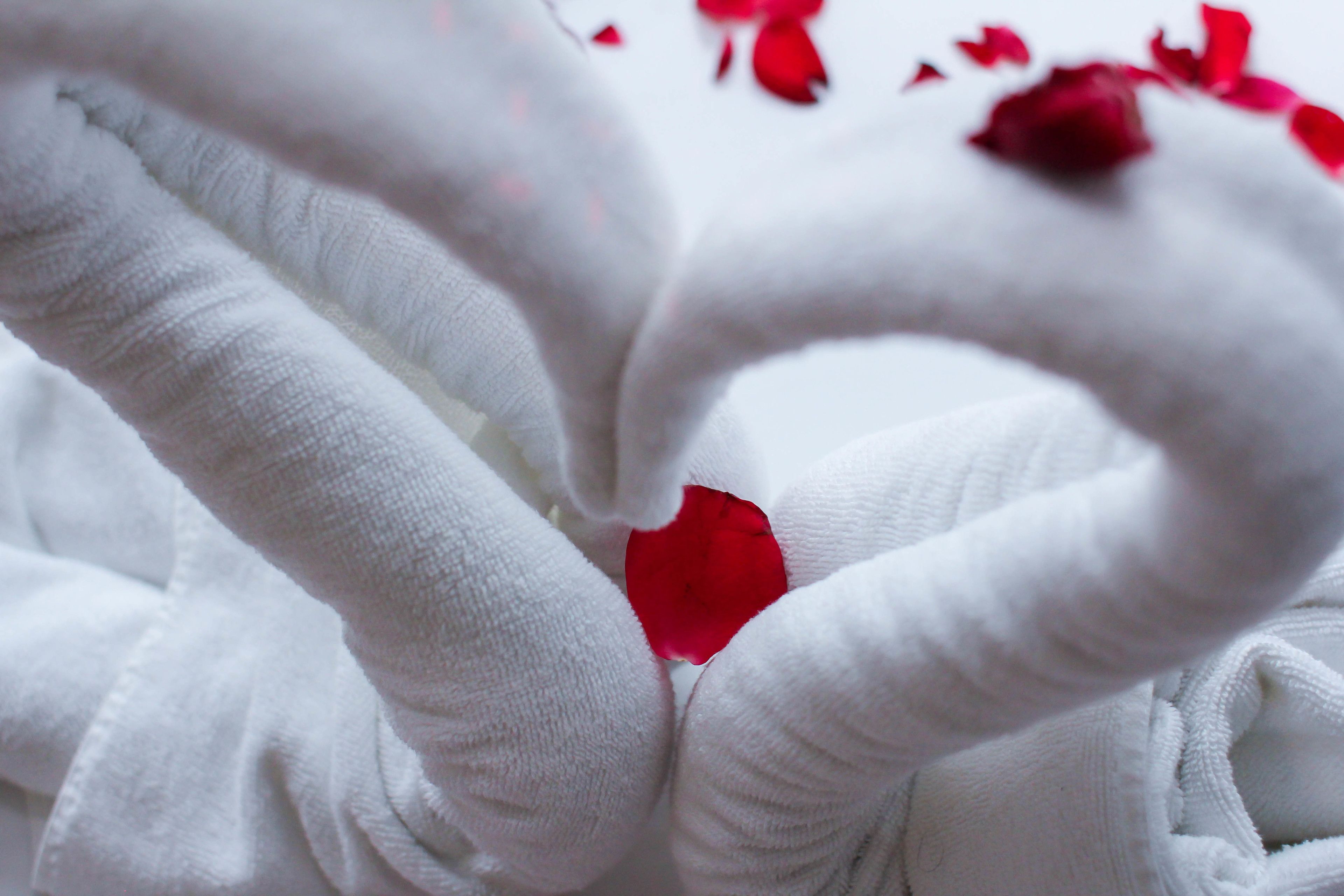 Photo - Asia Like Boutique Hotel