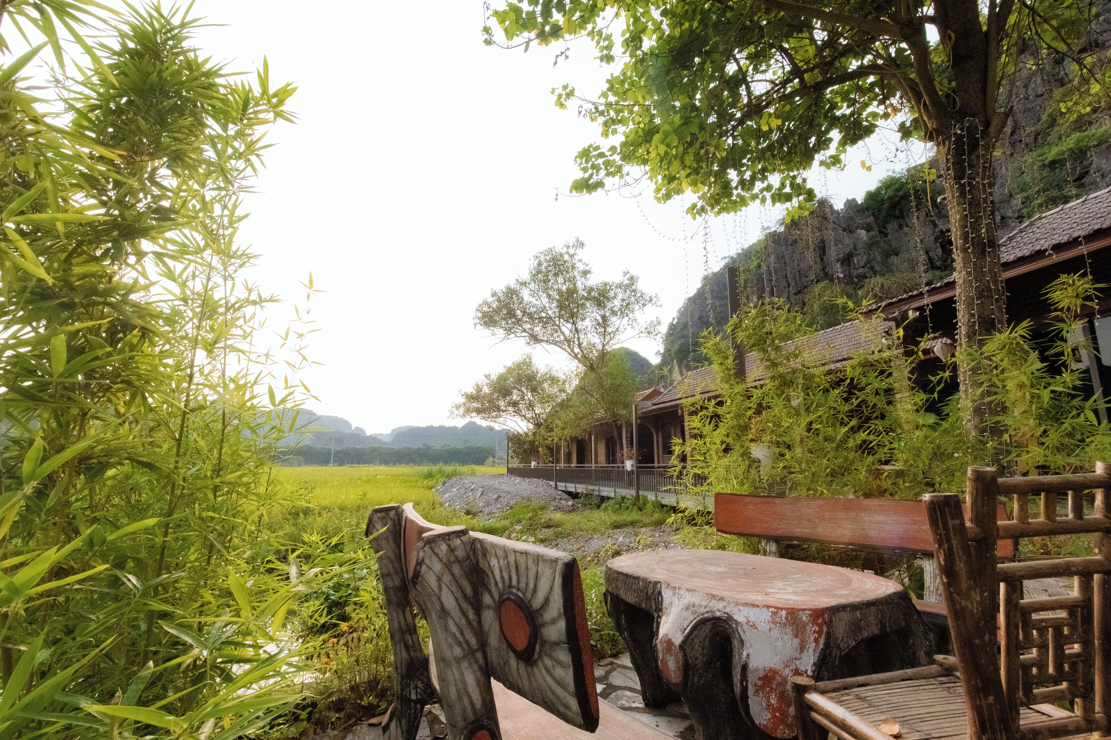 Une table et des chaises en bois rustique, placées dans un cadre verdoyant luxuriant, avec un bâtiment traditionnel en arrière-plan.