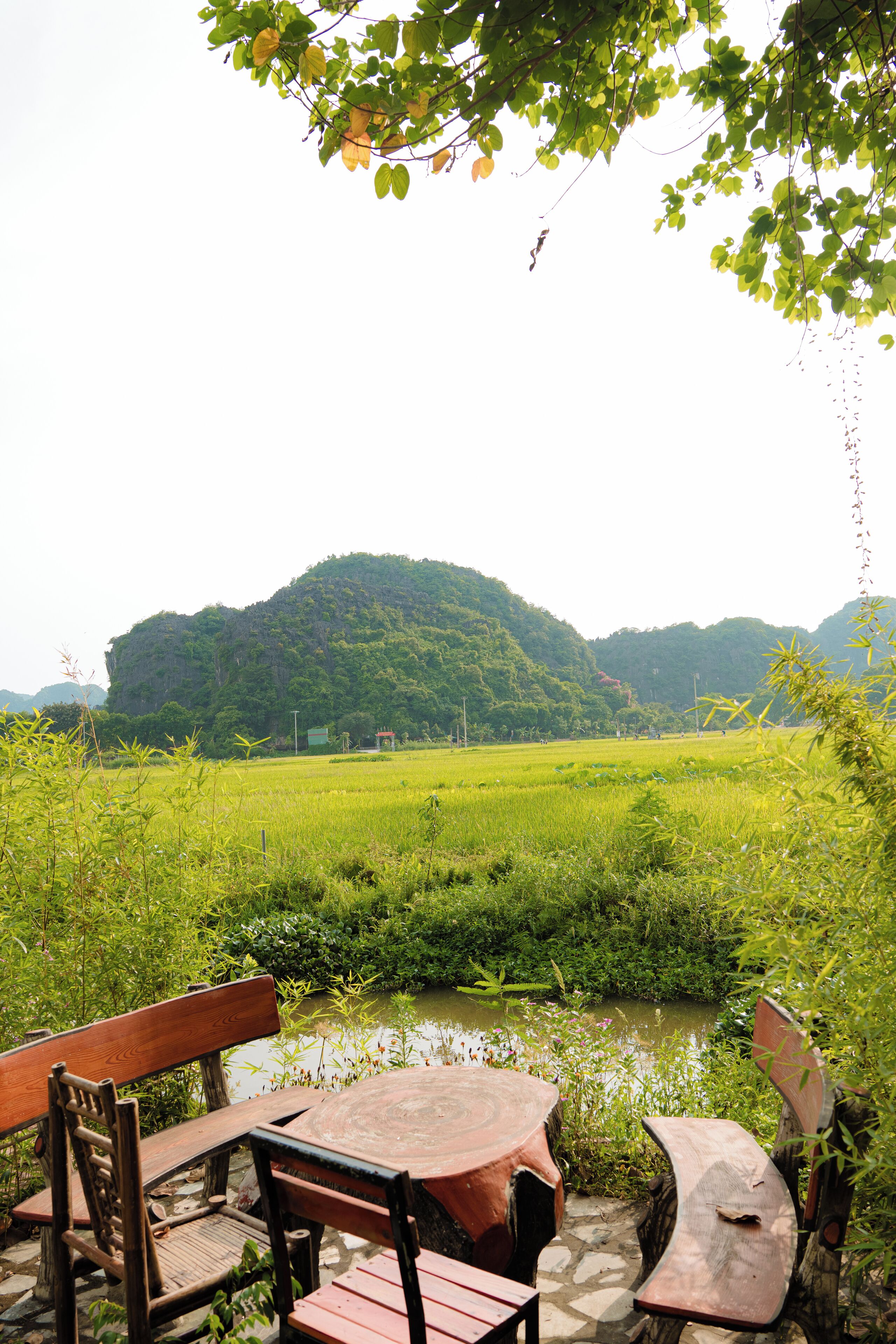 Un espace extérieur aménagé dans un style rustique, avec une table ronde et des chaises en bois, offrant une vue sur un champ verdoyant et une colline au loin.