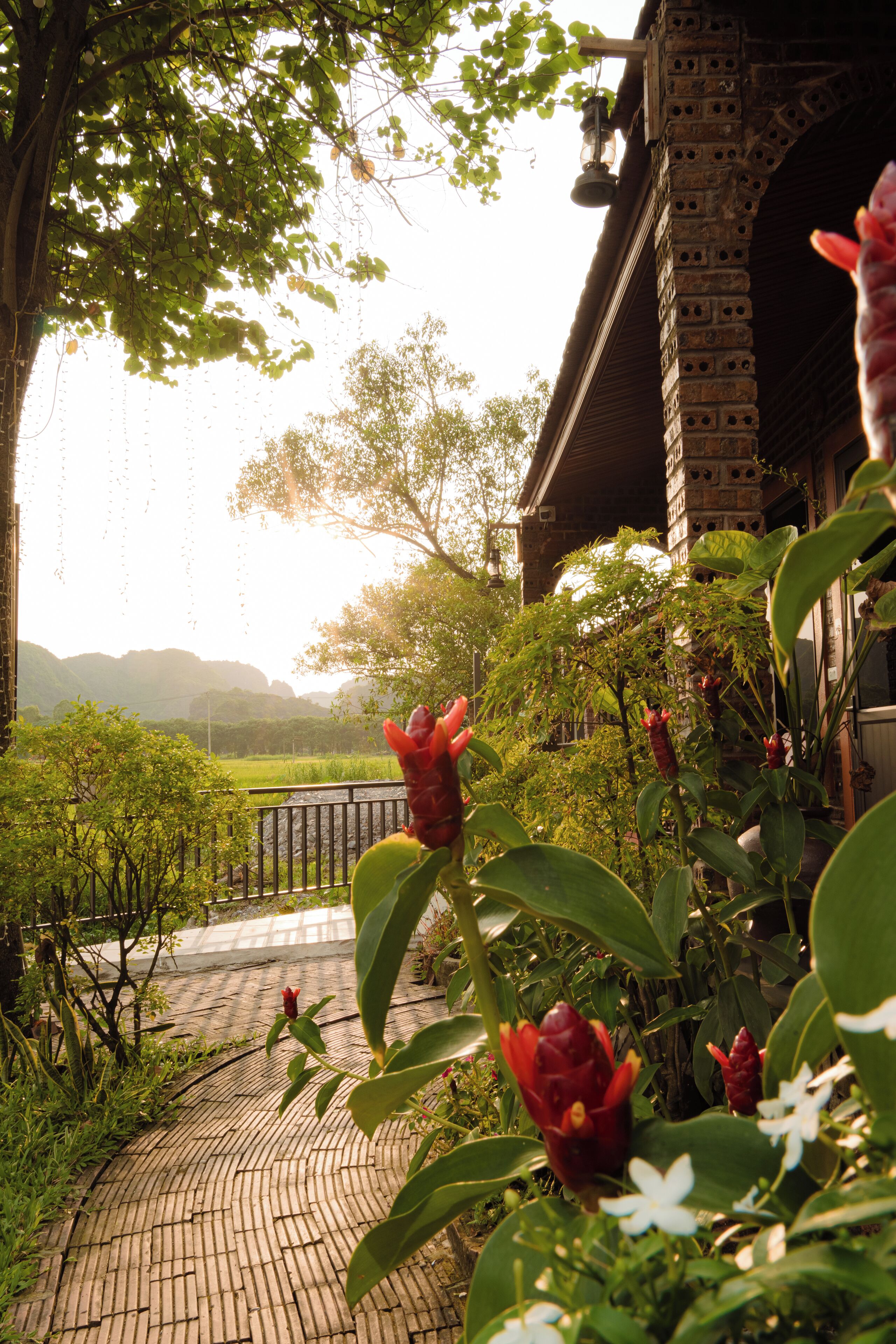 Utsikt fra overnattingsstedet
