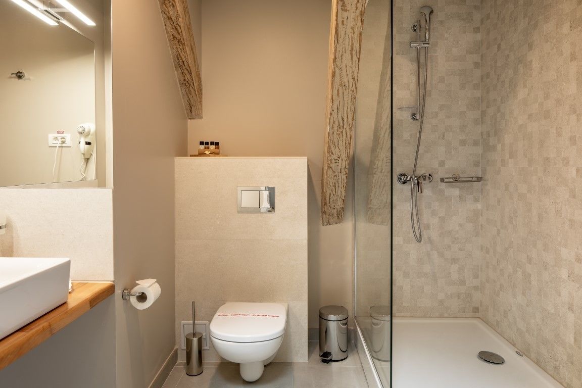 attic double room | bathroom | shower, free toiletries, hair dryer, dressing gowns