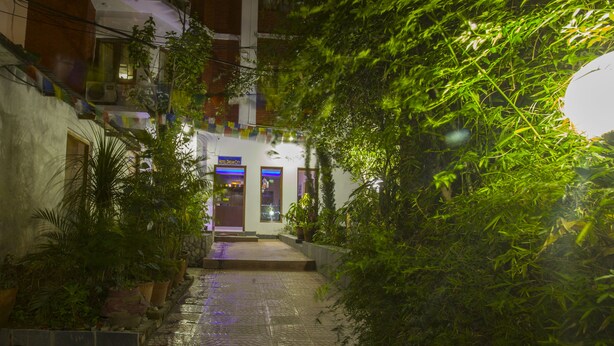 A narrow alleyway with a building entrance, potted plants, and a tiled pathway. - Hotel Dream City (Kathmandu)