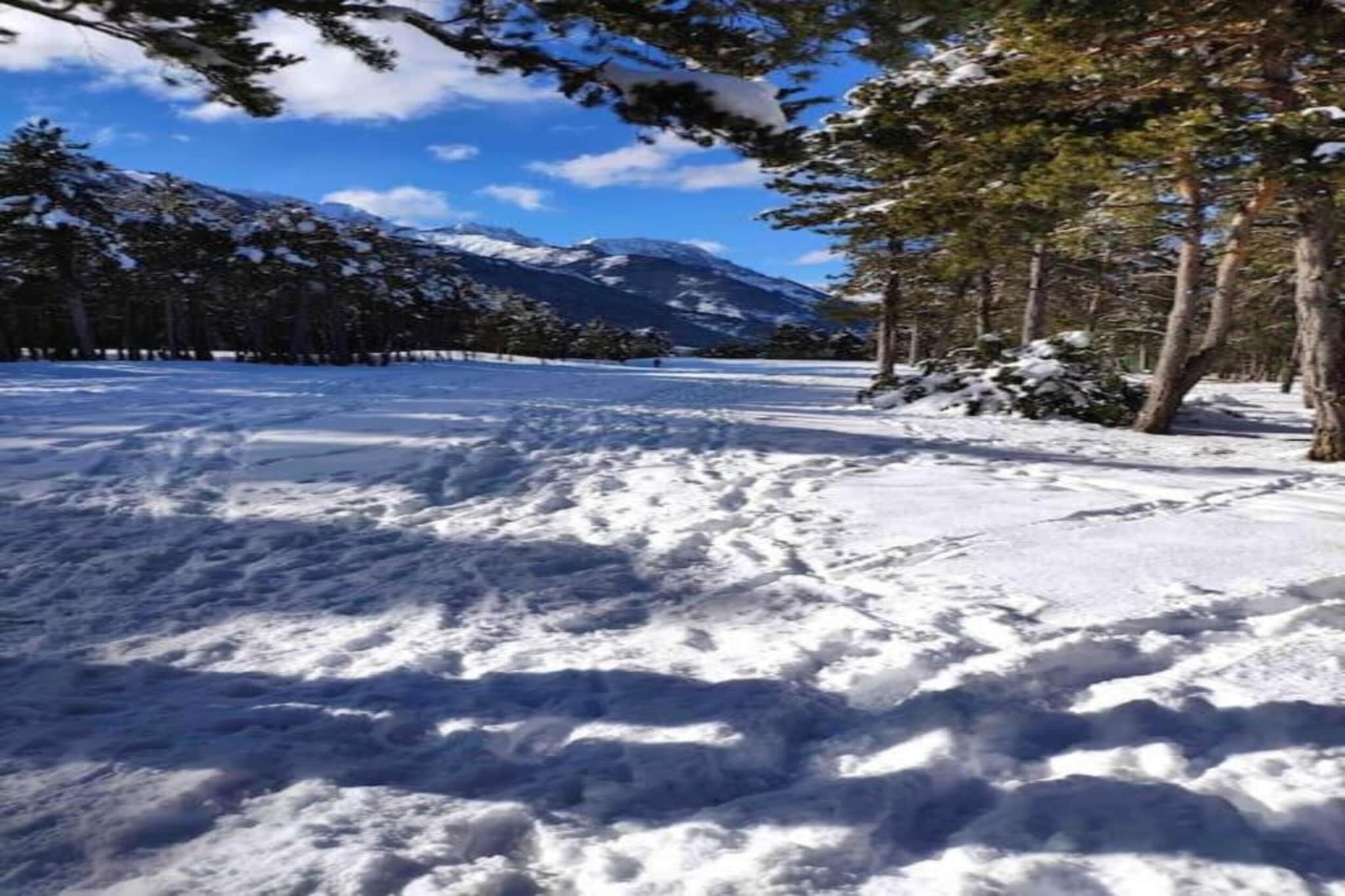 Un paysage enneigé, avec un ciel dégagé, des arbres et une montagne en arrière-plan.